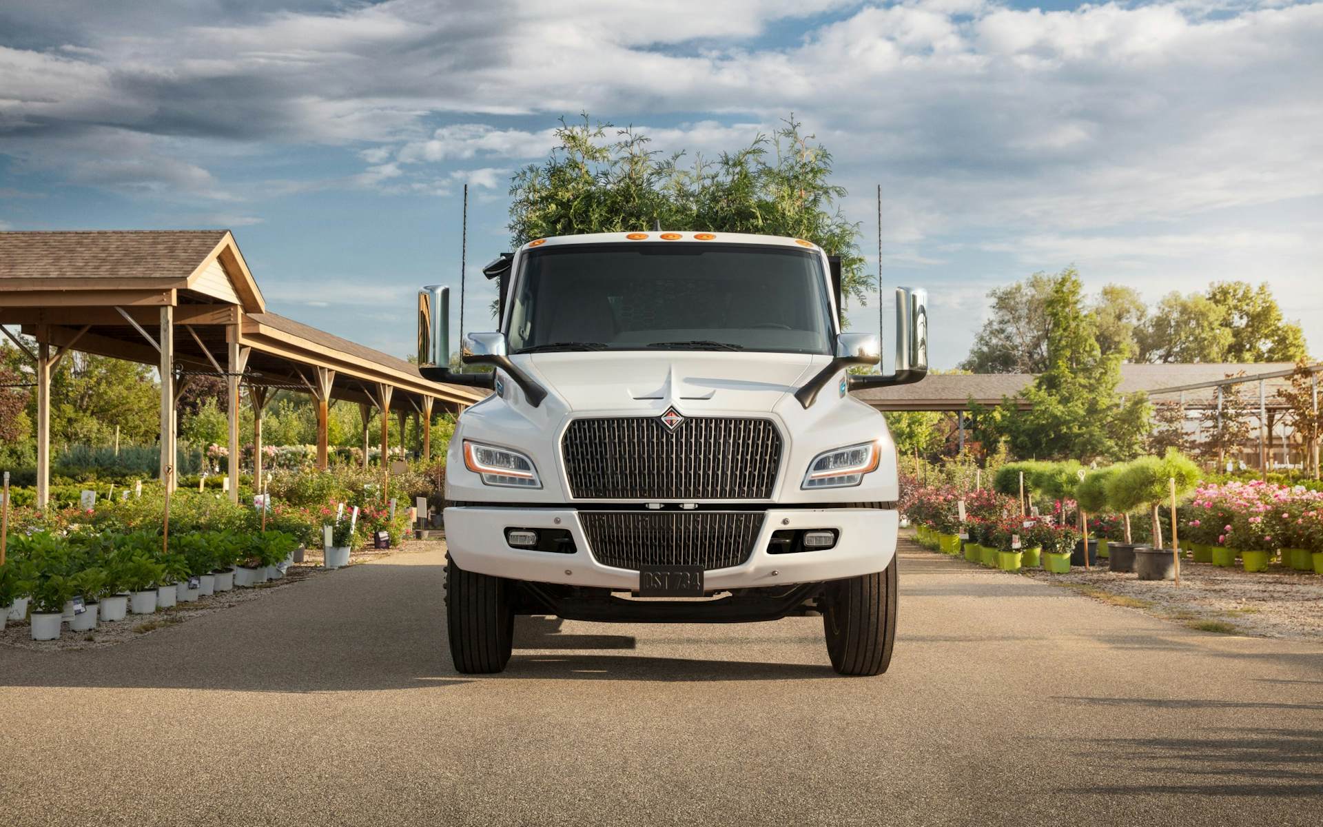 A white truck parked on a road