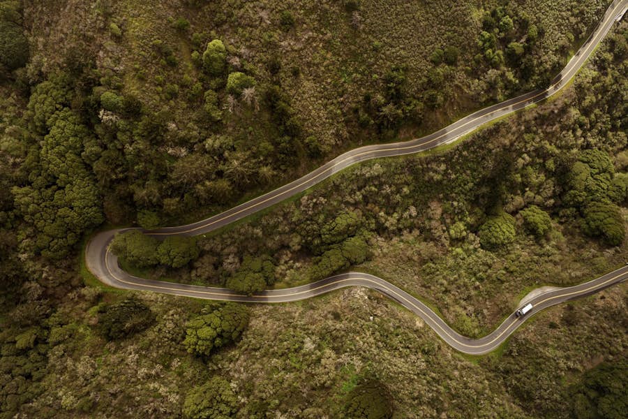 A winding road with trees and bushes