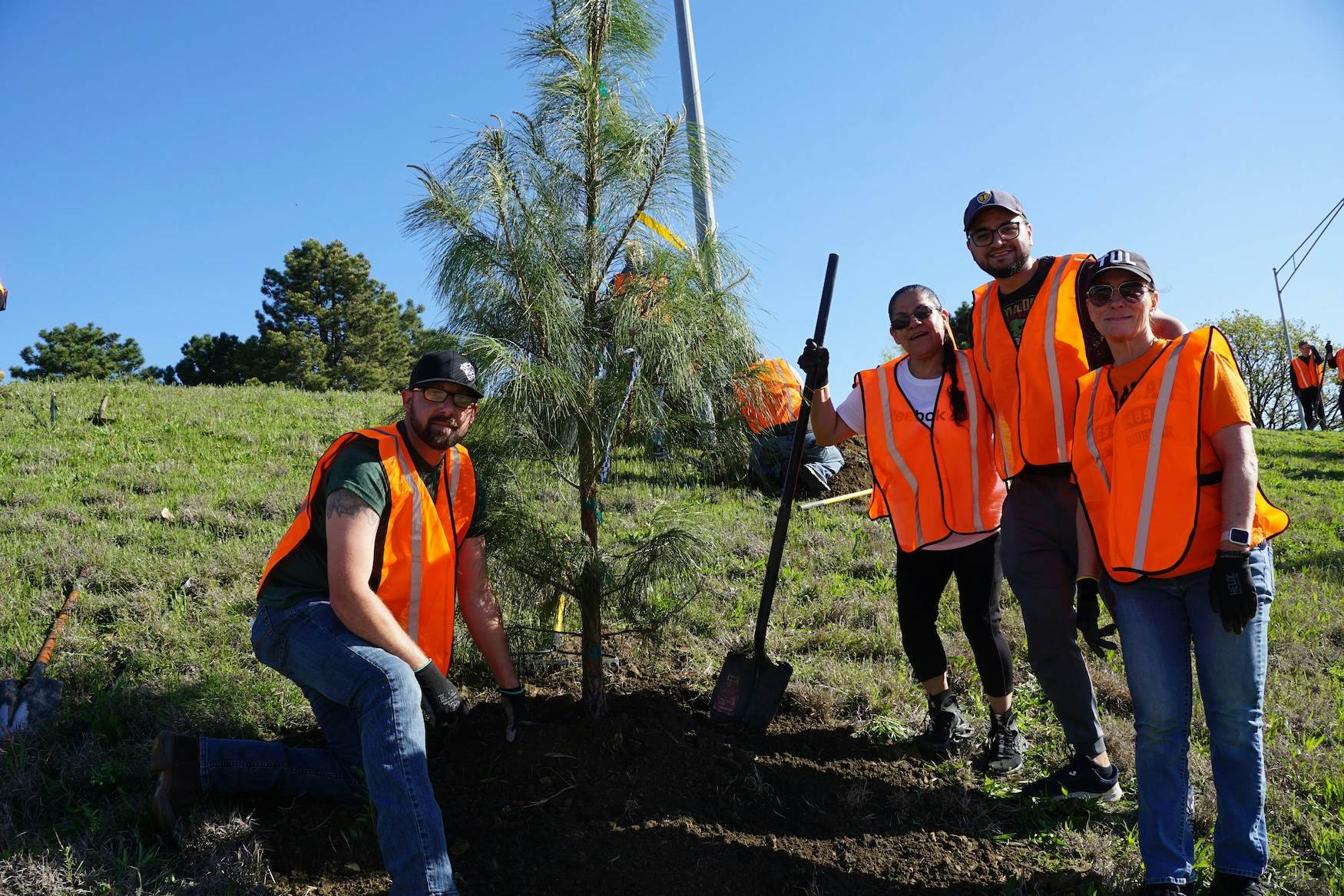 Tulsa up with trees 2025